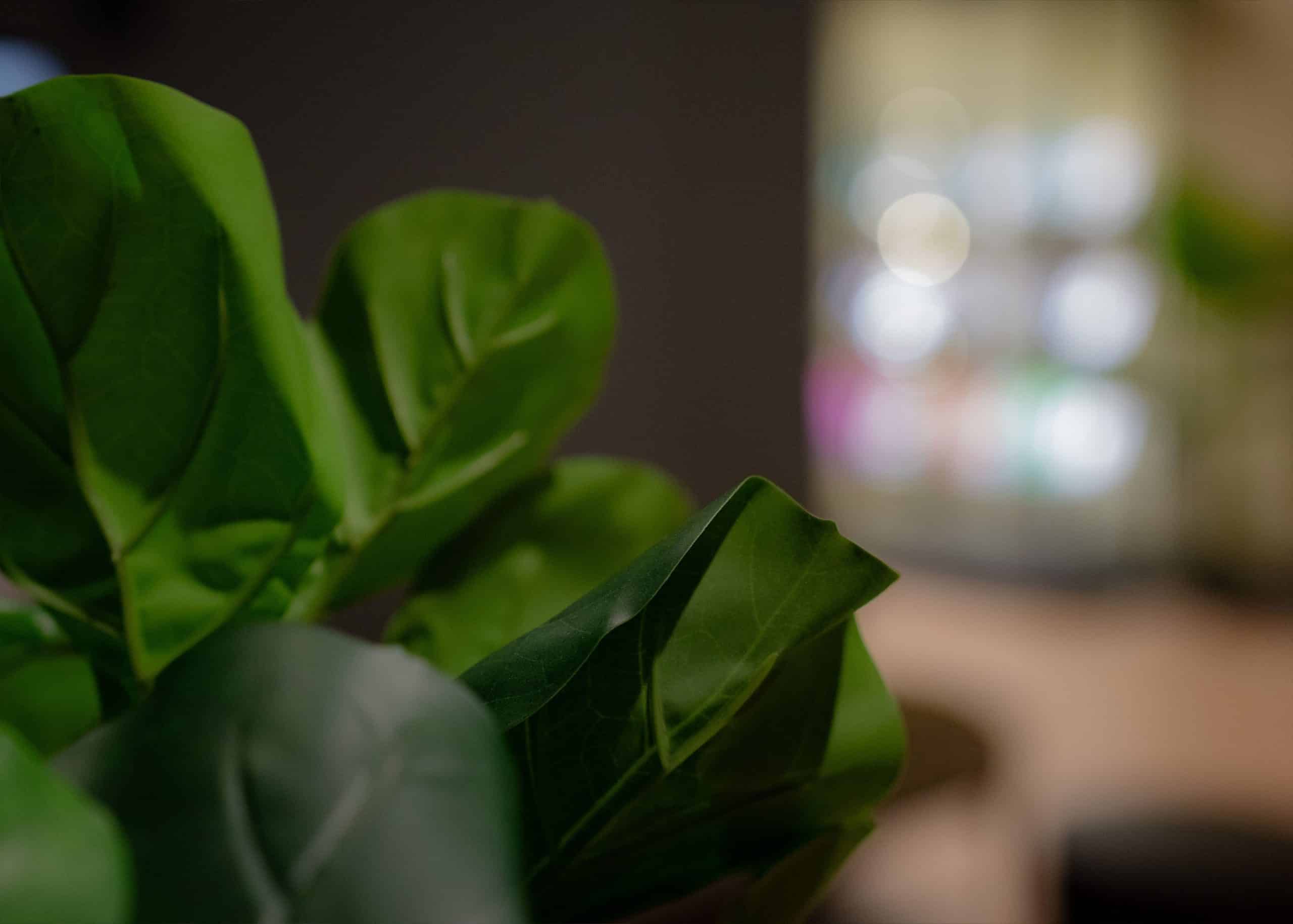 OracleRd_Web_Lobby_16